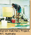 Darwin Hatchery Project